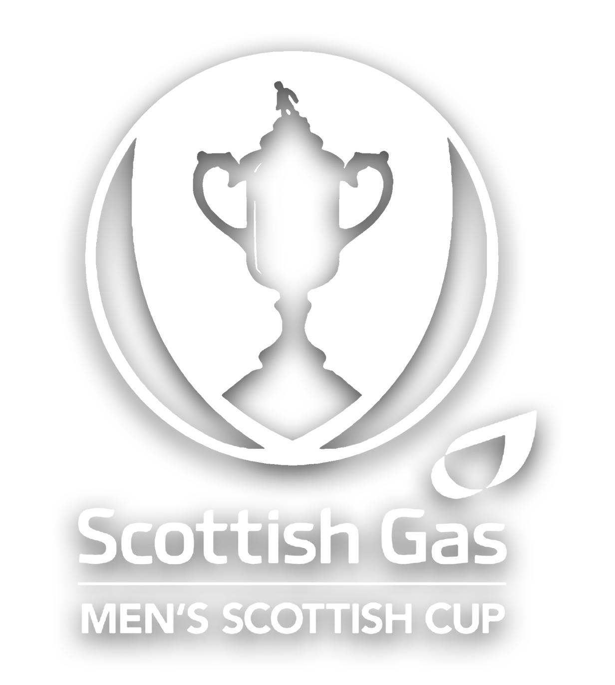 Officially Licensed SFA Products